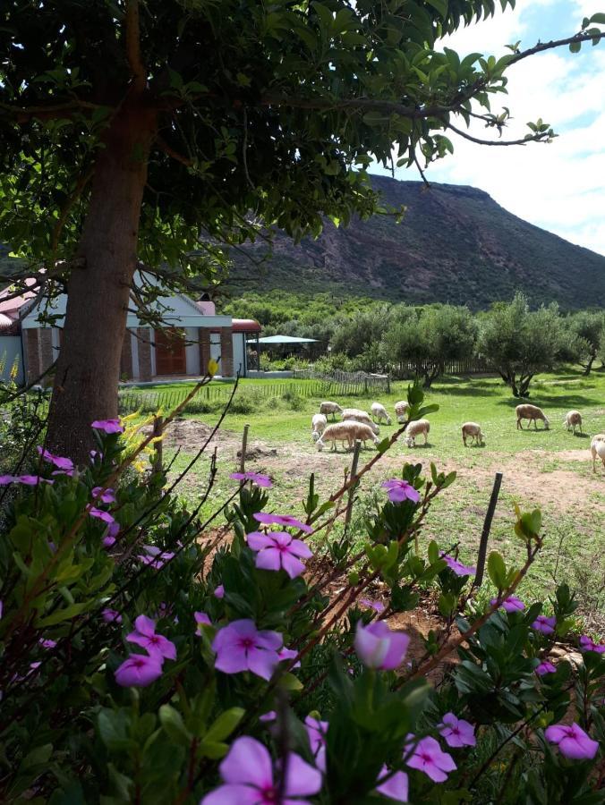 Baviaanskloof Landhuis Studtis Exteriör bild